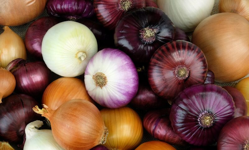Onion-Varieties