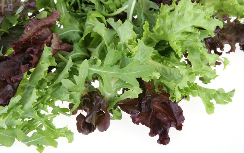 leafy-greens-have-vitamins-and-minerals Leafy Greens